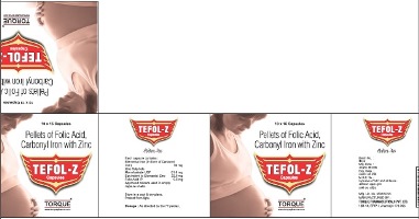 Tefol-z Device mark 3201893 Trademark