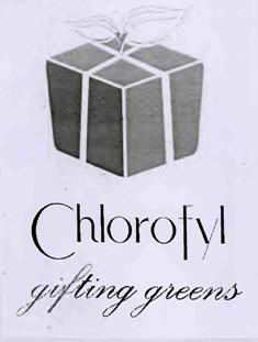 Chlorofyl Grifting Greens (label) Device mark 3229237 Trademark