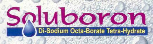 Soluboron Device mark 3229250 Trademark