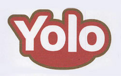 Yolo Device mark 3252326 Trademark