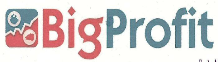 Bigprofit Device mark 3229474 Trademark