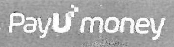 Pay U Money Device mark 3250028 Trademark