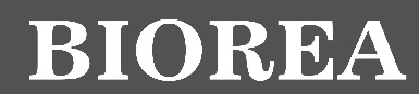 Biorea Device mark 3266439 Trademark