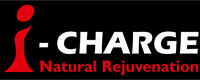 I-charge Device mark 3265757 Trademark