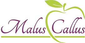 Malus Callus ( With Device Of Apple) Device mark 3315618 Trademark