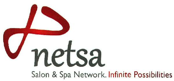 Pnetsa Device mark 3306839 Trademark