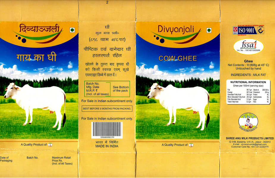 Divyanjali Device mark 3313057 Trademark