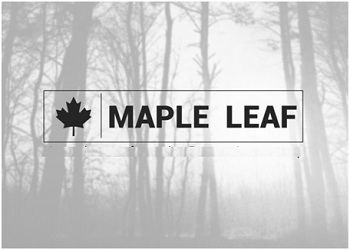 Maple Leaf (with Device) Device mark 3274344 Trademark