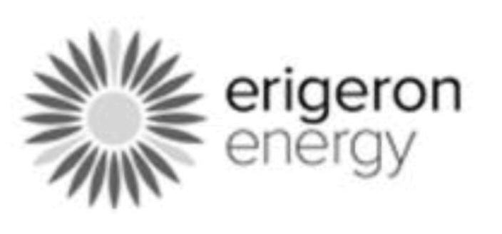 Erigeron Energy Device mark 3231688 Trademark