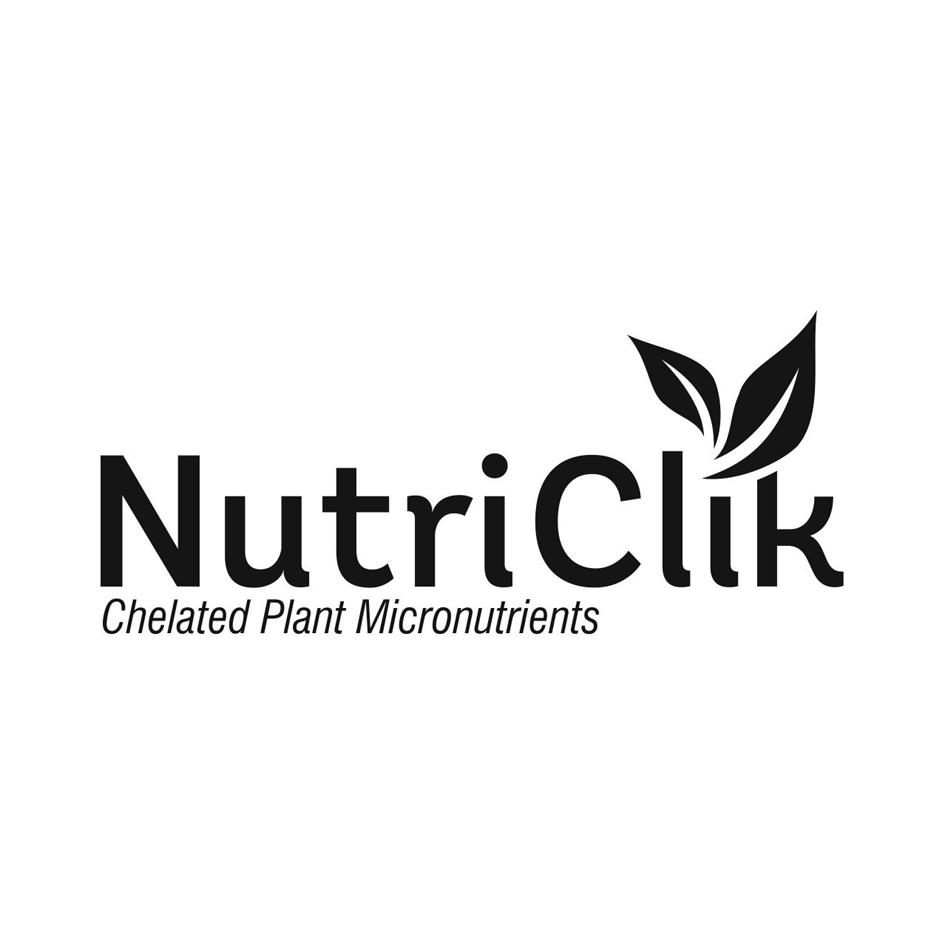 Nutriclik (logo) Device mark 3299272 Trademark