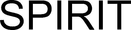 Spirit Device mark 3337859 Trademark