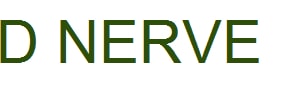 D Nerve Device mark 3327768 Trademark
