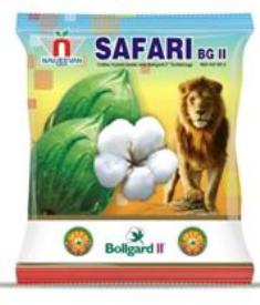 Safari Device mark 3275038 Trademark
