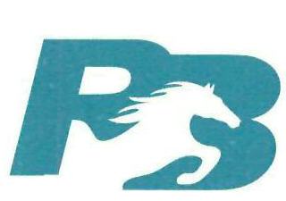 Rb Device mark 3275086 Trademark