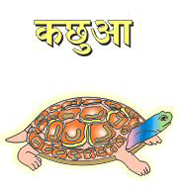 Kachua Device mark 3321183 Trademark