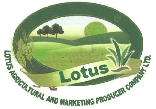 Lotus Device mark 3321033 Trademark