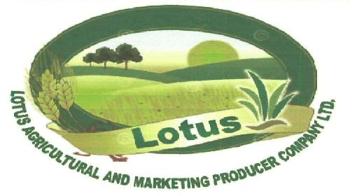 Lotus Device mark 3321034 Trademark
