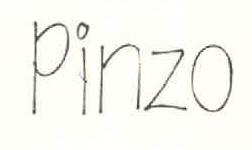 Pinzo Device mark 3321137 Trademark