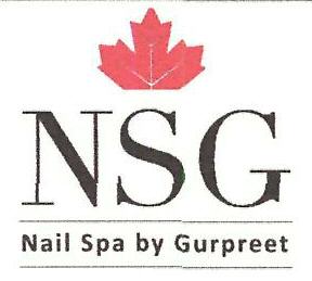 Nsg Device mark 3359879 Trademark