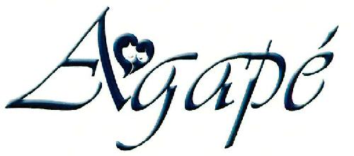 Agape Device mark 3335500 Trademark