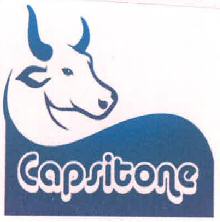 Capsitone Device mark 3359918 Trademark