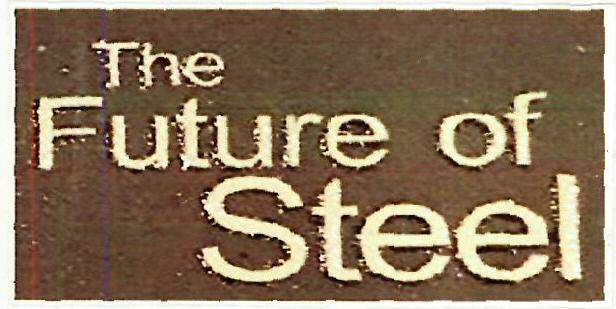 The Future Of Steel Device mark 3351116 Trademark