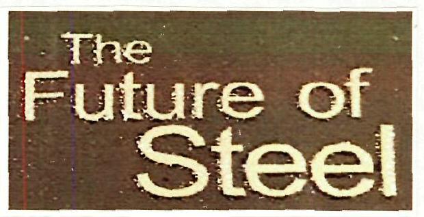 The Furture Of Steel Device mark 3351117 Trademark