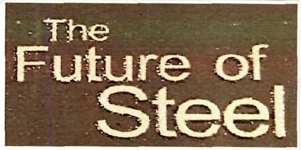 The Future Of Steel Device mark 3351118 Trademark