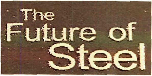 The Future Of Steel Device mark 3351119 Trademark