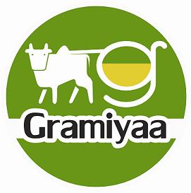 Gramiyaa Device mark 3346164 Trademark