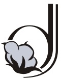 No Name Device mark 3359052 Trademark
