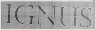 Ignus (label) Device mark 3393620 Trademark