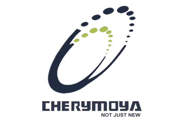 Cherymoya Not Just New Device mark 3393446 Trademark
