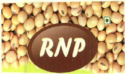 Rnp Device mark 3278596 Trademark
