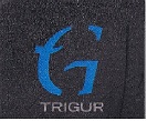 Trigur Device mark 3374959 Trademark