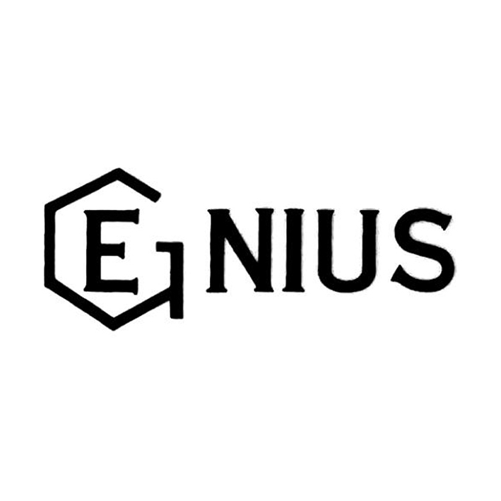 Genius Device mark 3390335 Trademark