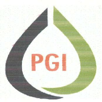 Pgi Device mark 3398047 Trademark