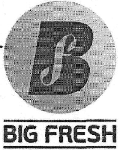 Big Fresh Device mark 3285992 Trademark