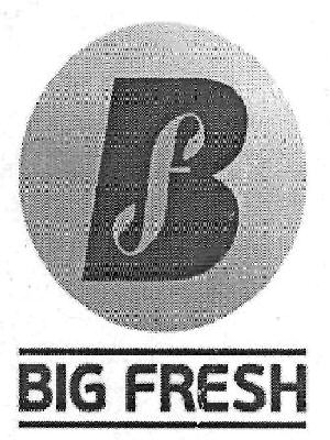 Big Fresh Device mark 3285993 Trademark