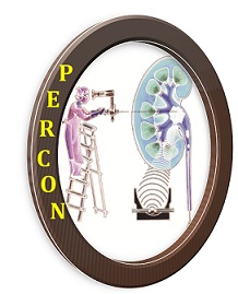 Percon With Device Device mark 3425066 Trademark