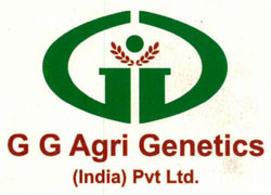 G G Agri Genetics (india) Pvt Ltd. With Logo Device mark 3422153 Trademark