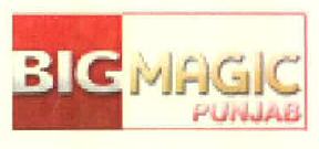 Big Magic Punjab Device mark 3301695 Trademark