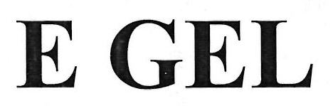 E Gel Device mark 3407069 Trademark