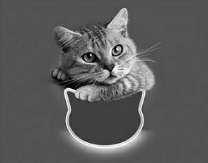 Device Of Cat Device mark 3455986 Trademark