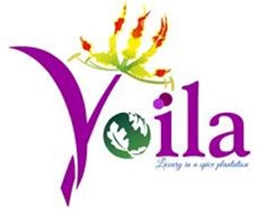 Voila Device mark 3429313 Trademark