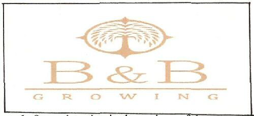 B & B Growing Device mark 3416134 Trademark