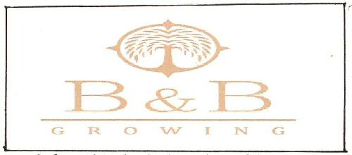 B & B Growing Device mark 3416135 Trademark