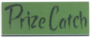 Prize Catch Device mark 3325240 Trademark
