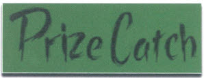 Prize Catch Device mark 3325242 Trademark
