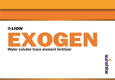Exogen Device mark 3422615 Trademark